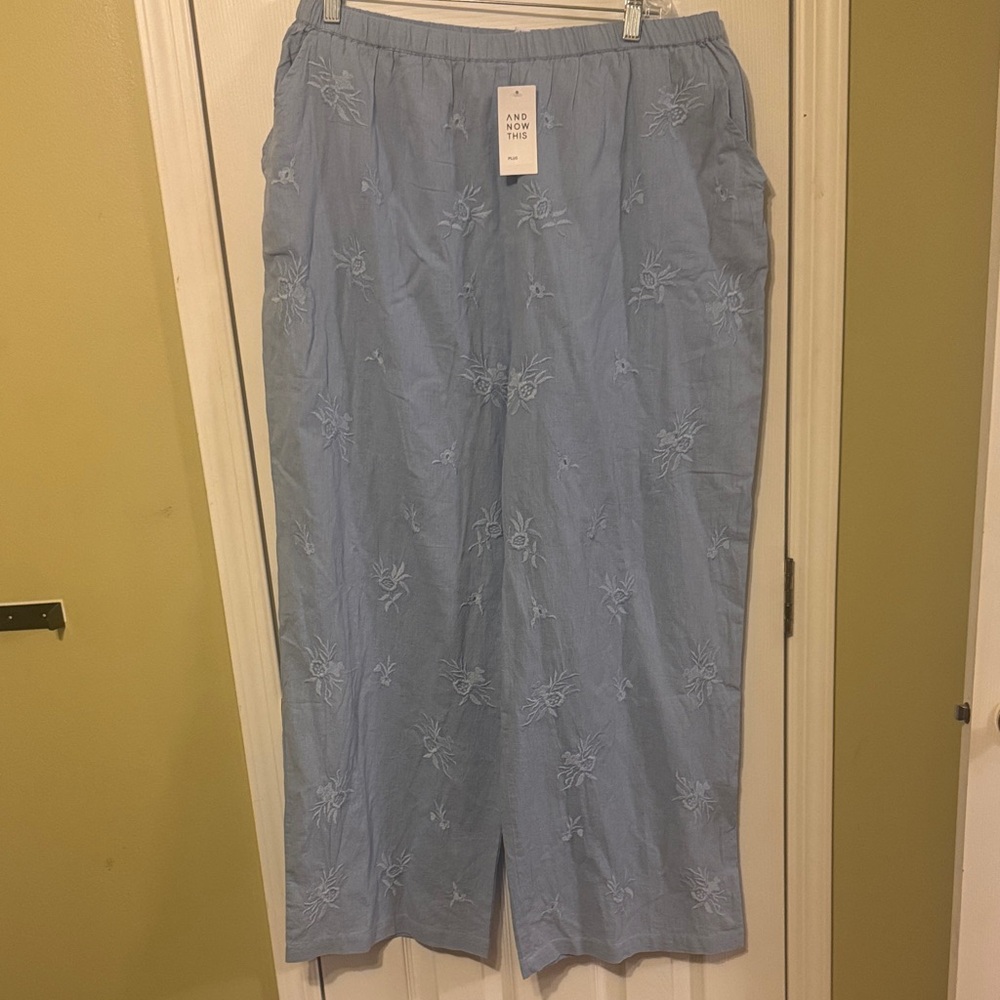 Light Blue Embroidered Pants